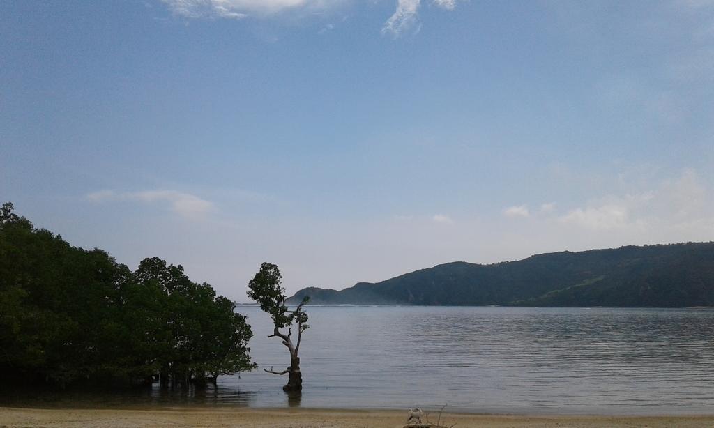 Roby Homestay Kuta  ภายนอก รูปภาพ
